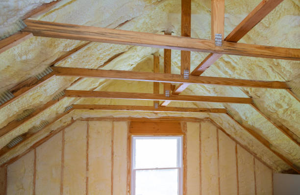 Best Blown-in Insulation in Merritt Island, FL