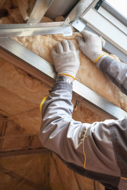 Types of Insulation We Offer in Merritt Island, FL