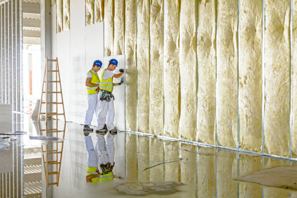 Best Residential Insulation in Merritt Island, FL